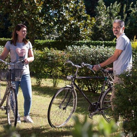 Appartamenti Giardino Al Mare Cavallino-Treporti Zewnętrze zdjęcie